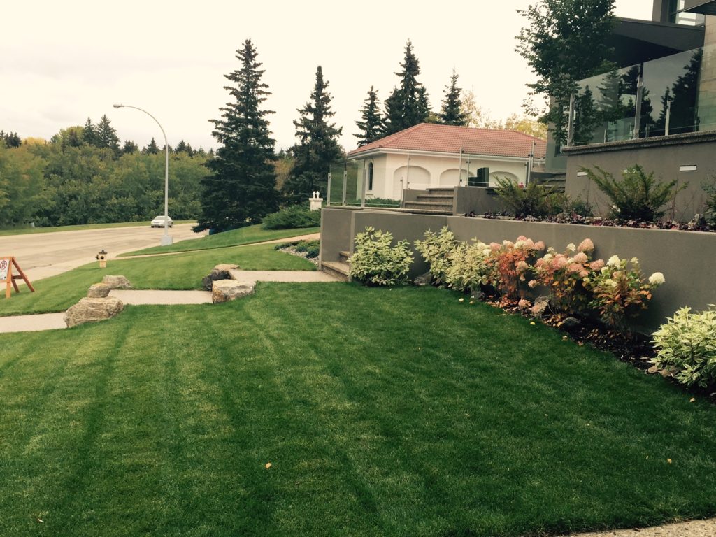 Landscape Projects Big Lake Sod Farm