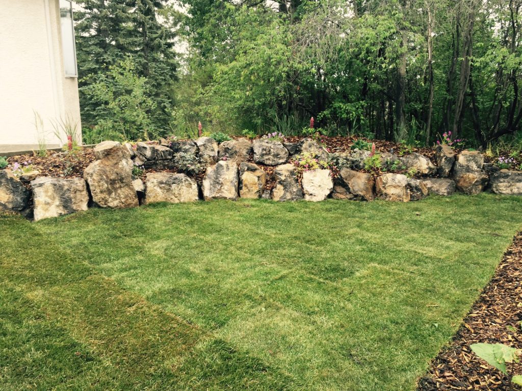 Landscape Projects Big Lake Sod Farm